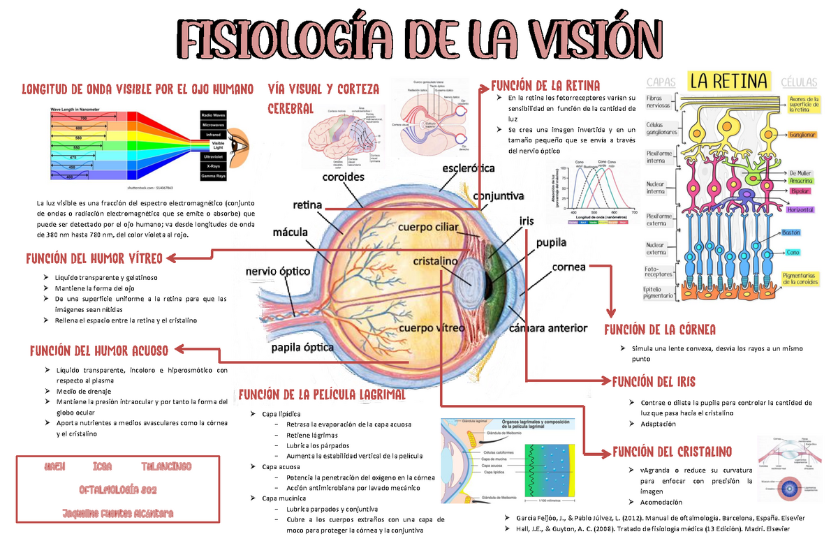 Mapa Conceptual Vision Fisiologia Uaeh Studocu Porn Sex Picture