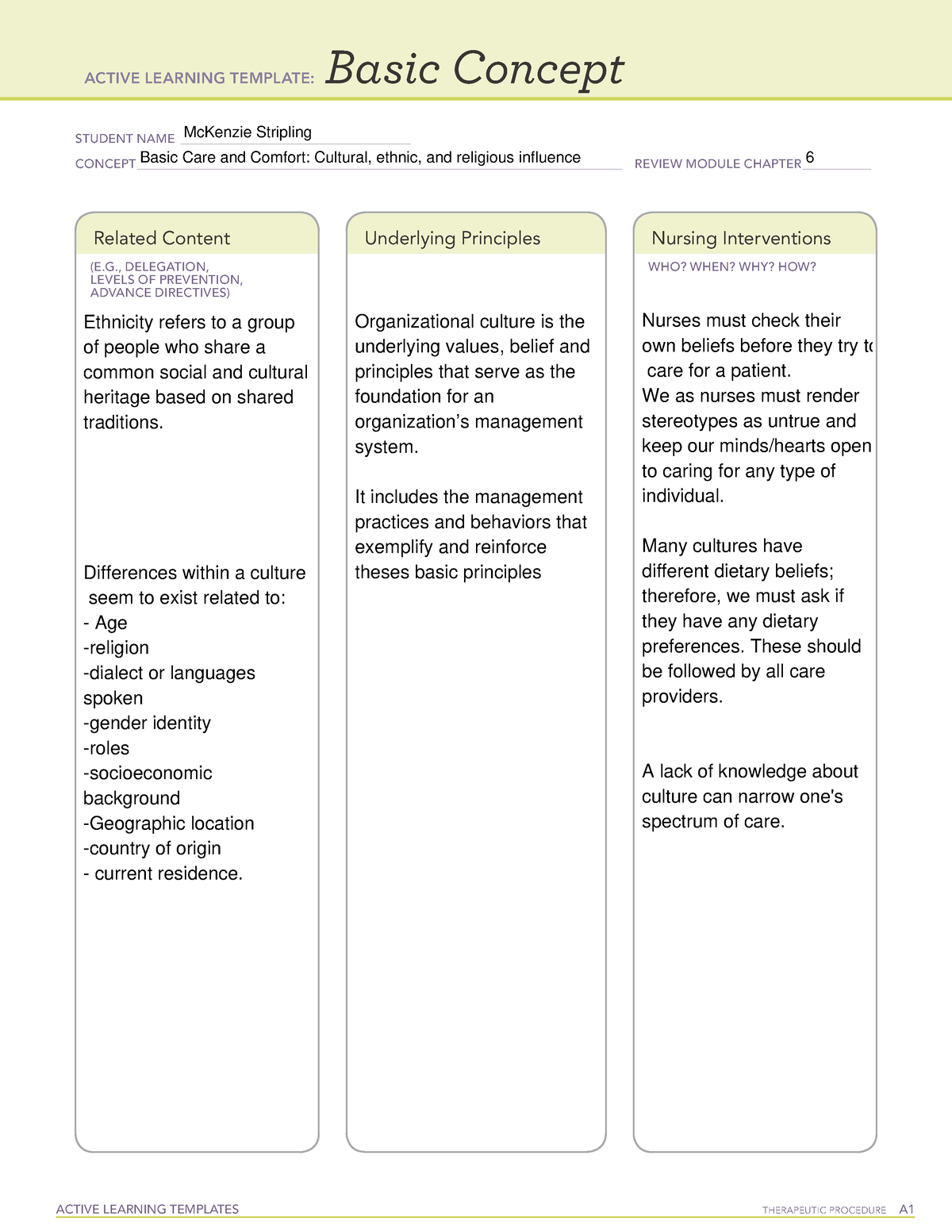 Active Learning Template Basic Concept (1) (1) - NSG3037 - ACTIVE ...