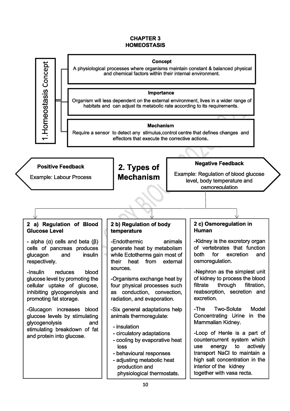 Workbook Chapter 3 (HOMEOSTATIS) - Biology - UiTM - Studocu