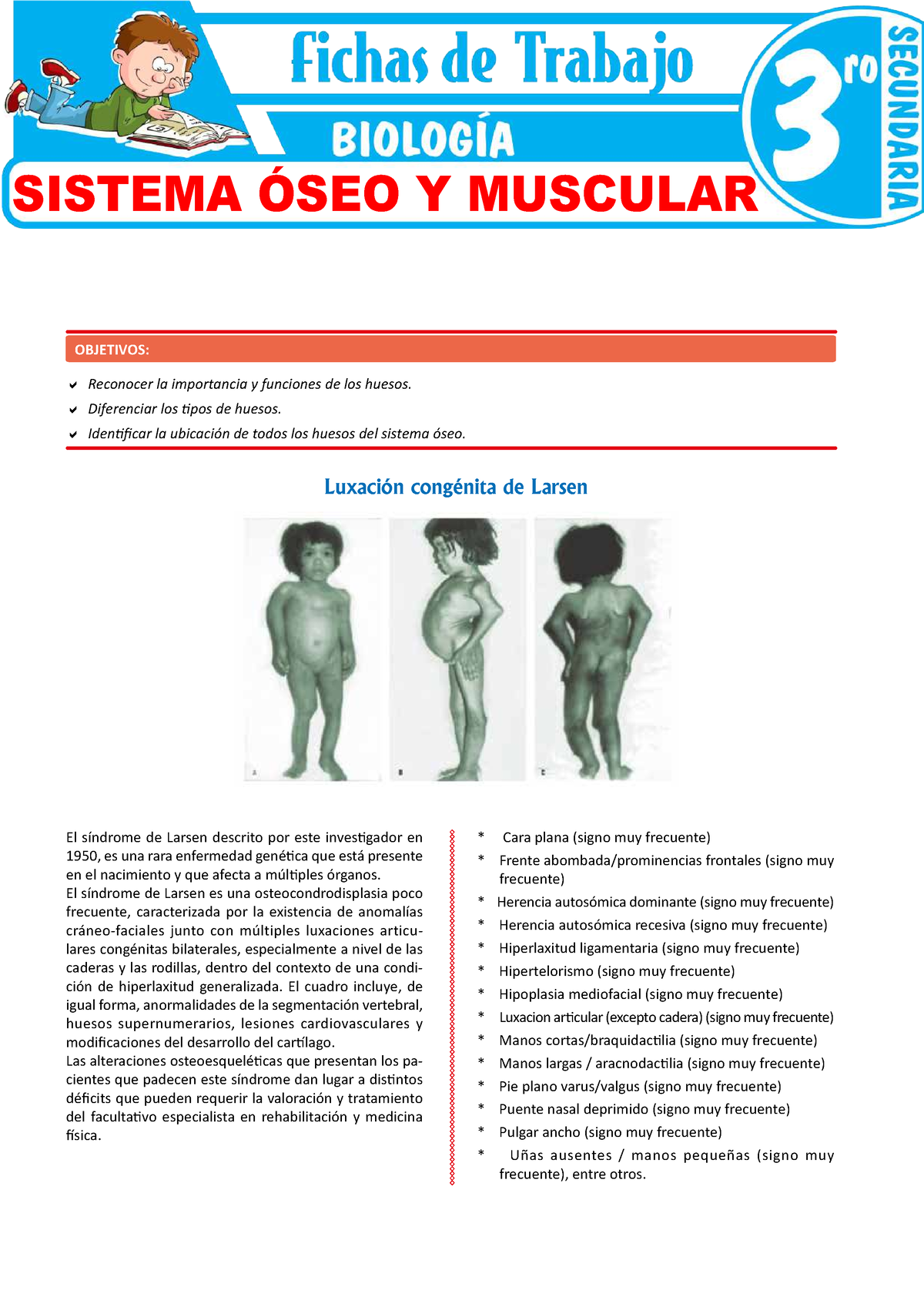 Map Quiz: Músculos de la cintura pélvica (biología - 1º bachillerato)