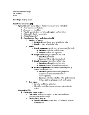 Chapter 25-Urinary System - Chapter 25 urinary system Functions 1 ...