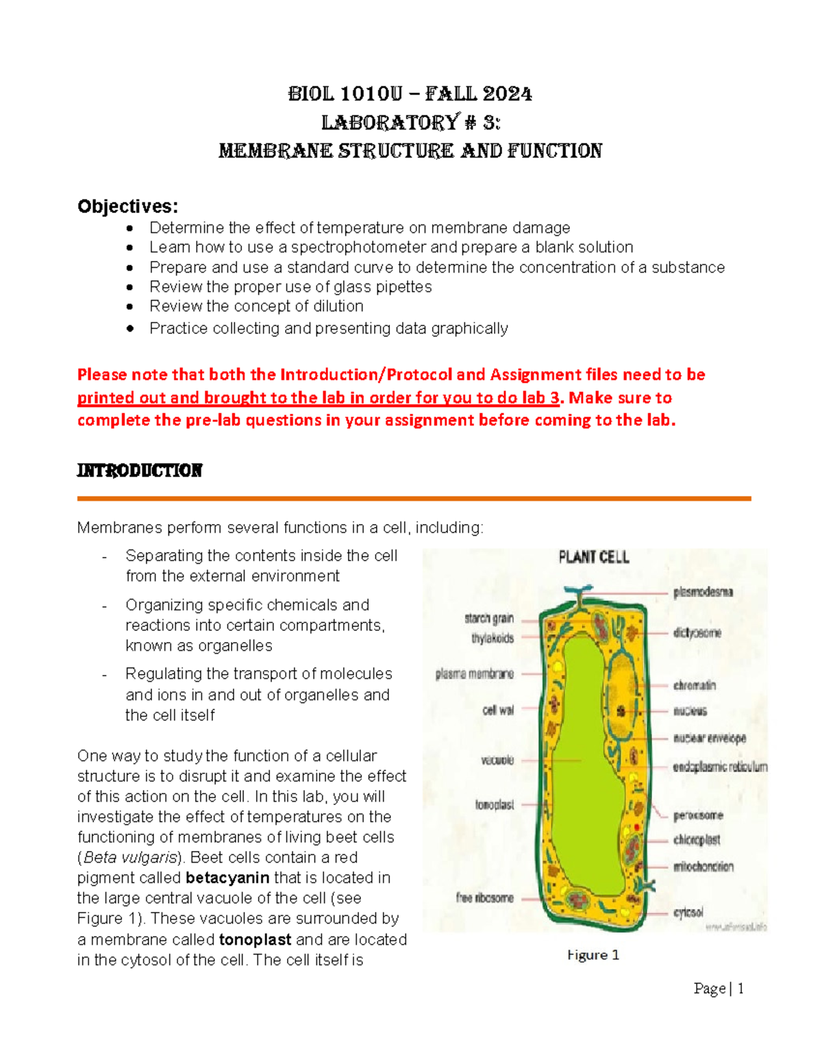 Lab+3+-+Introduction+and+Protocol+-+Membranes - BIOL 1010U – FALL 2024 ...