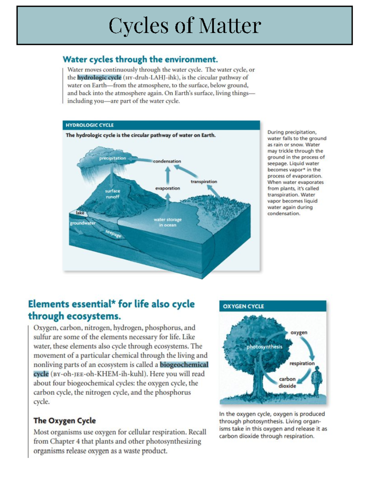 Unit 4 Ap Biology Reviewregister.Html - 8pi4j5n
