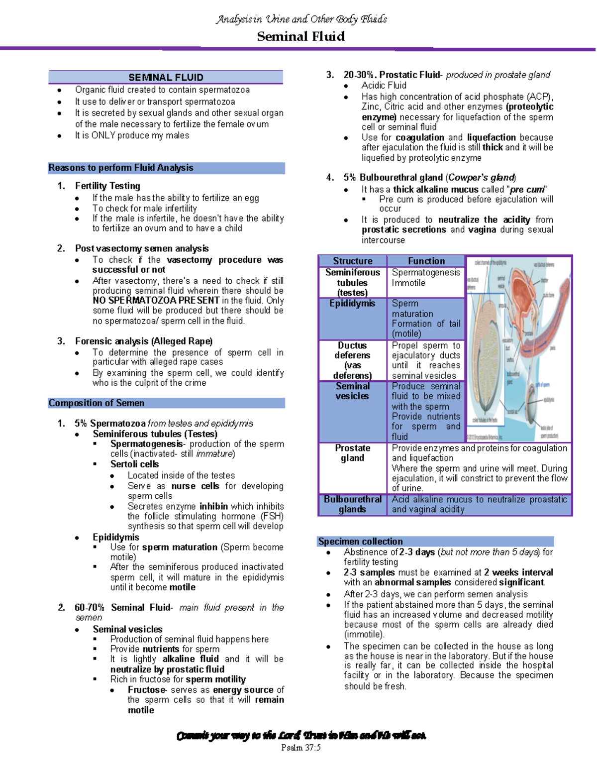 Semenalysis - Lec - Seminal Fluid Commit your way to the Lord; Trust in ...