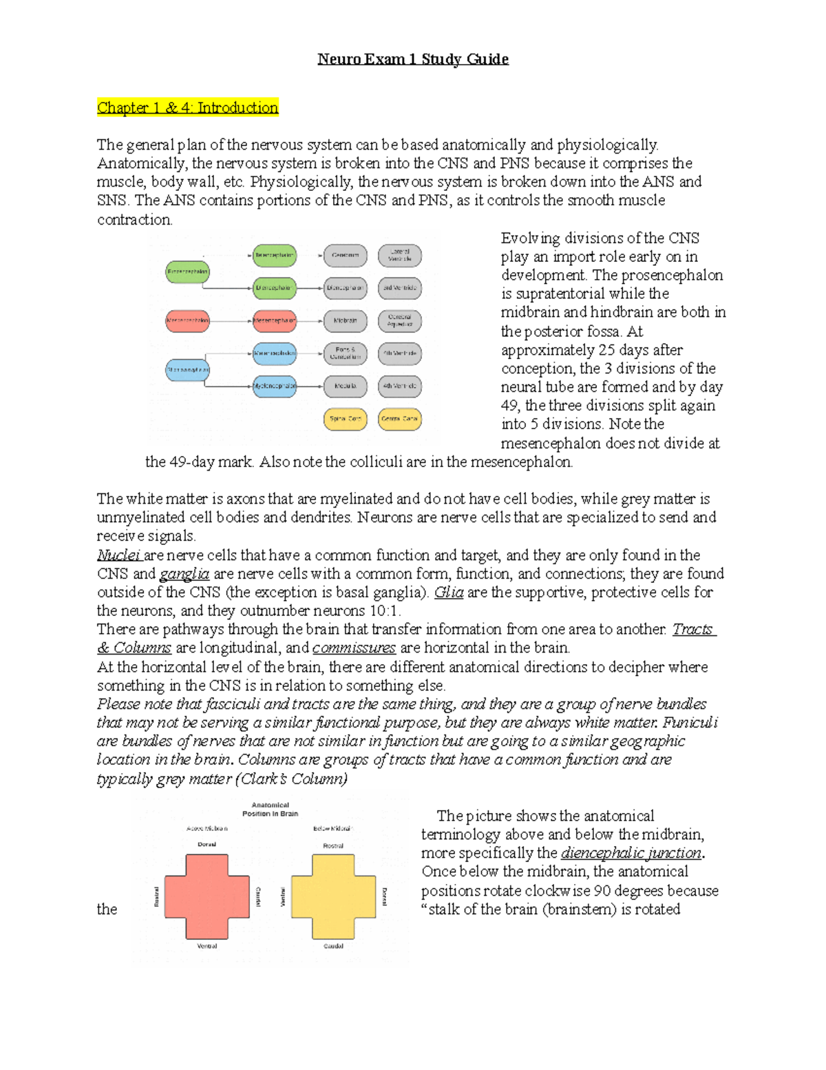 Neuro Study Guide - Exam notes - PT 701 - Studocu