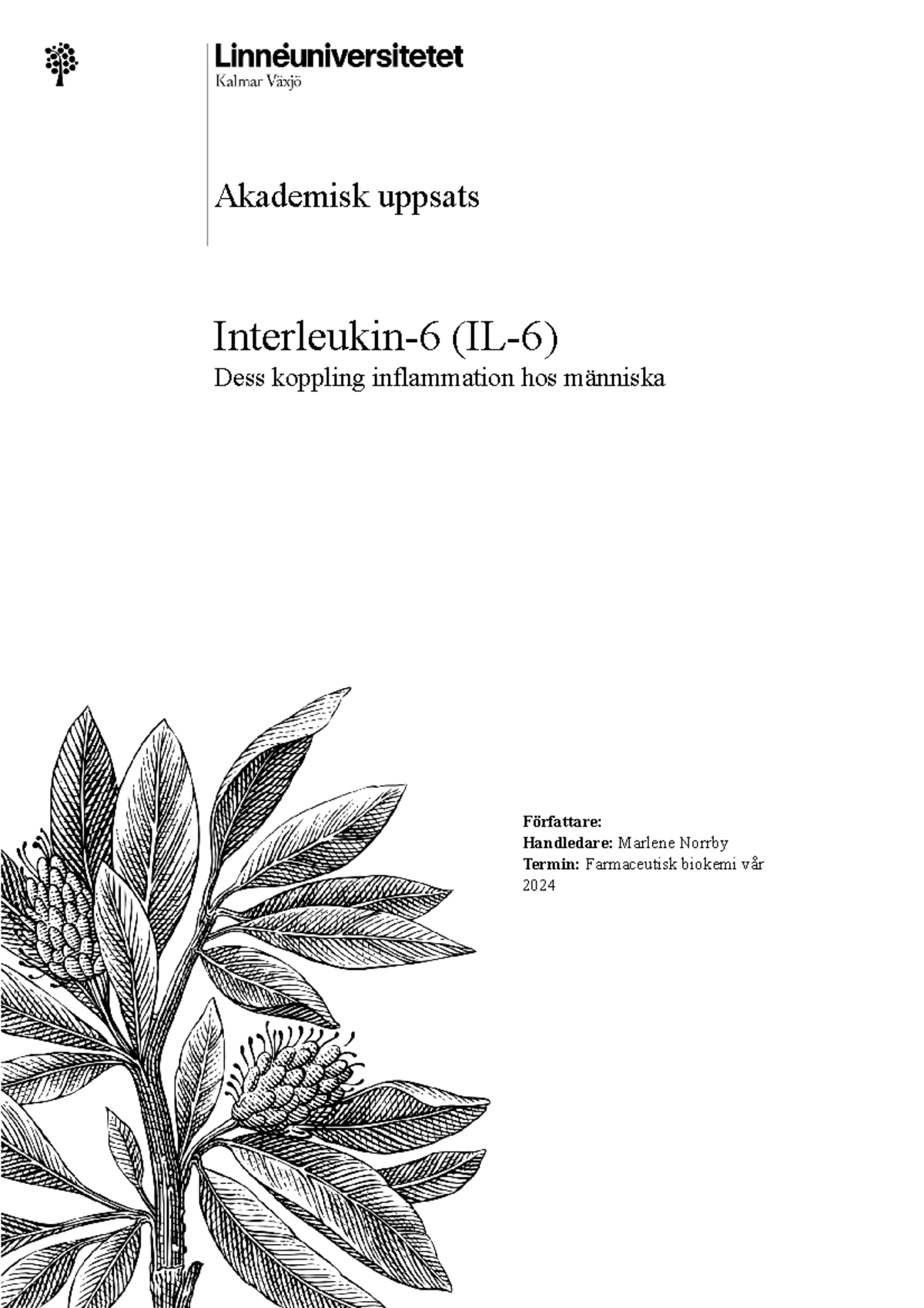 Interleukin-6 (IL-6), Akademisk Uppsats - Akademisk Uppsats Interleukin ...