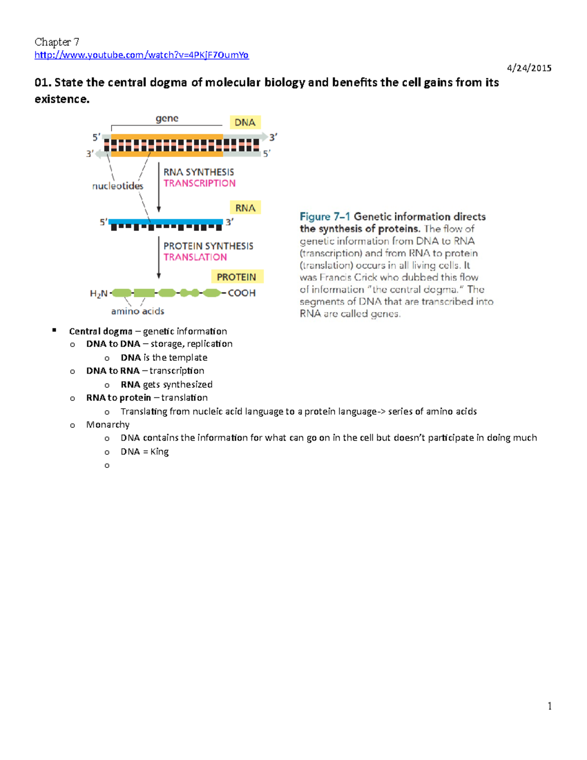 Chapter 07 DNA To Protein - How Cells Read The Genome - Chapter 7 ...