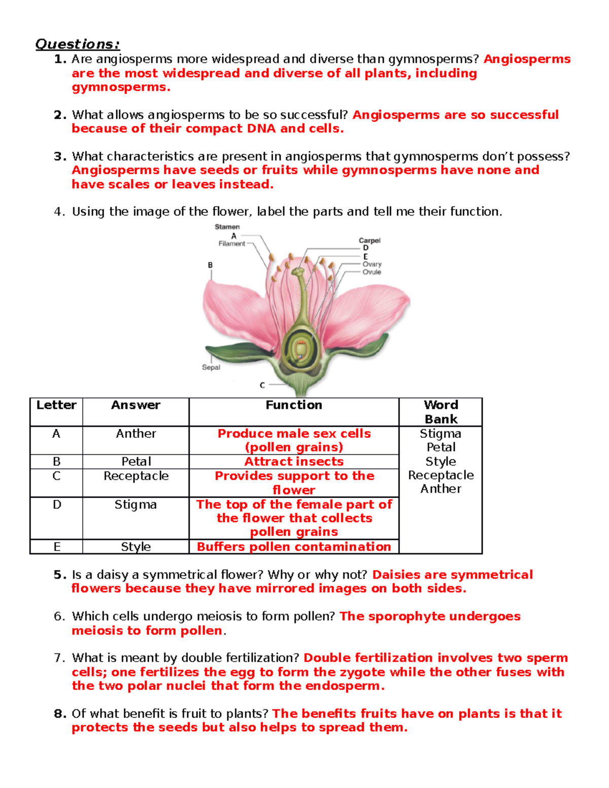 Exercise 31 Angiosperms Answers only Questions Are angiosperms more