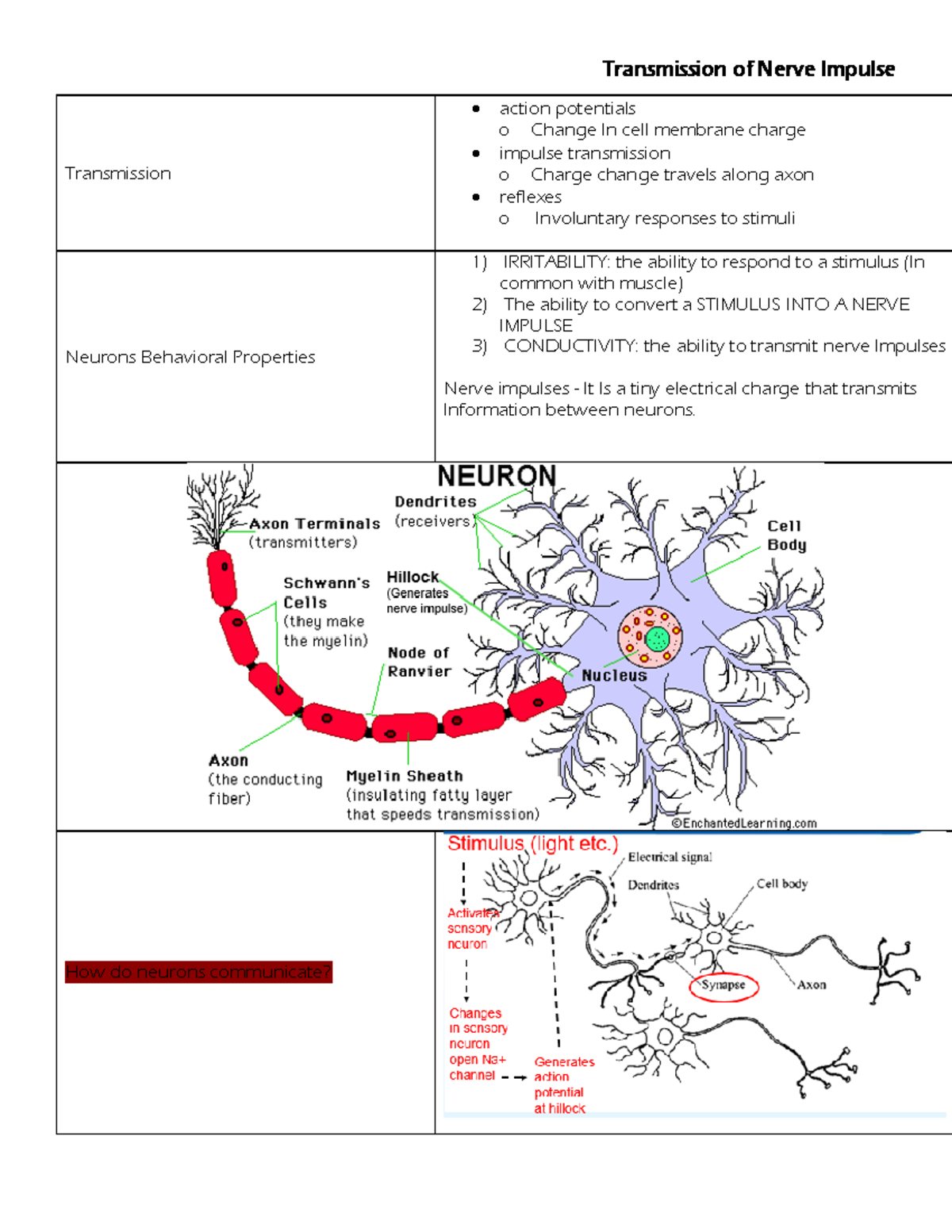 Transmission of Nerve Impulses copy - Transmission of Nerve Impulse ...
