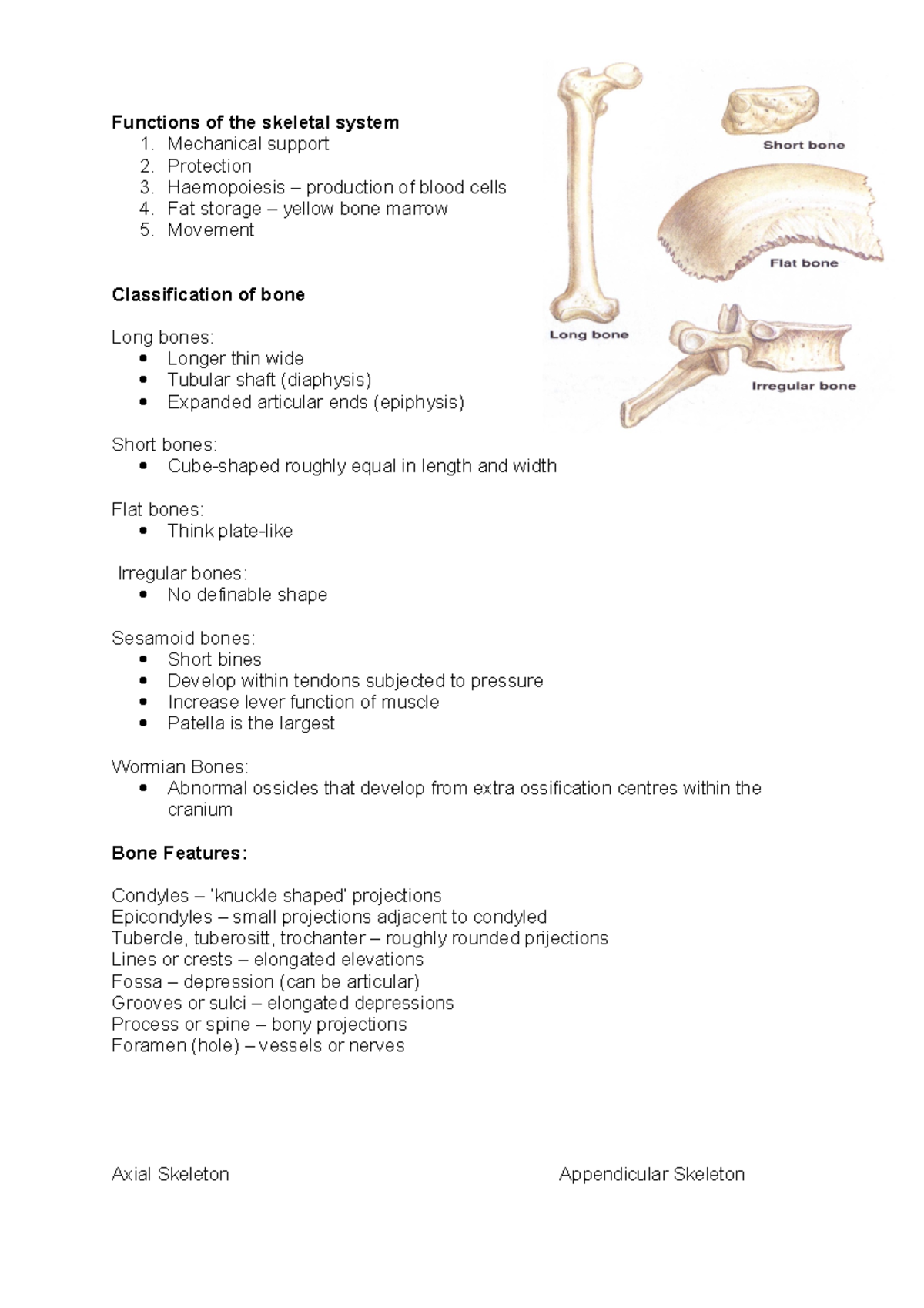 Skeletal system - MHS1101 - ECU - Studocu