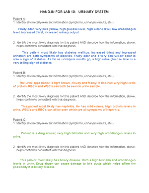 Lab 6 - Lab 6 - HAND-IN FOR LAB 6: CARDIOVASCULAR SYSTEM List all of ...