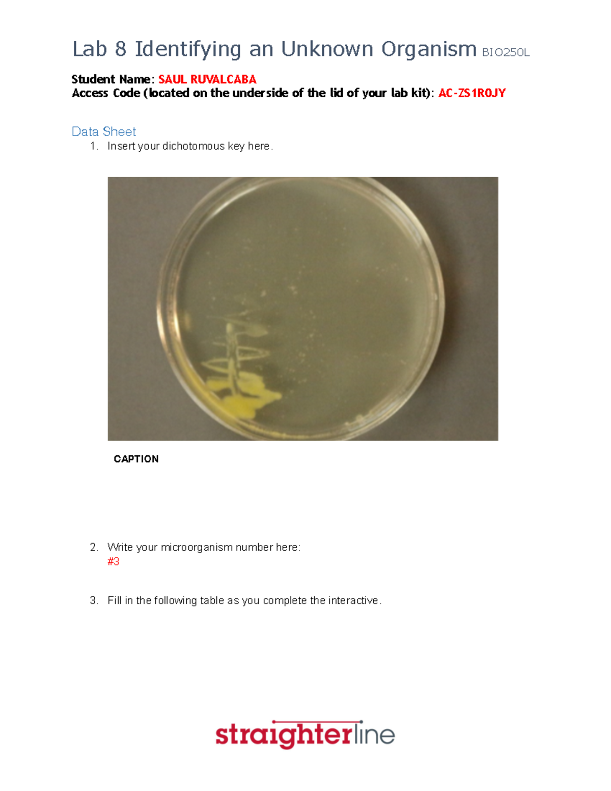 BIO250L+V2+Lab+8+ STTRAITERLINE BIO 201L - Student Name: SAUL RUVALCABA ...