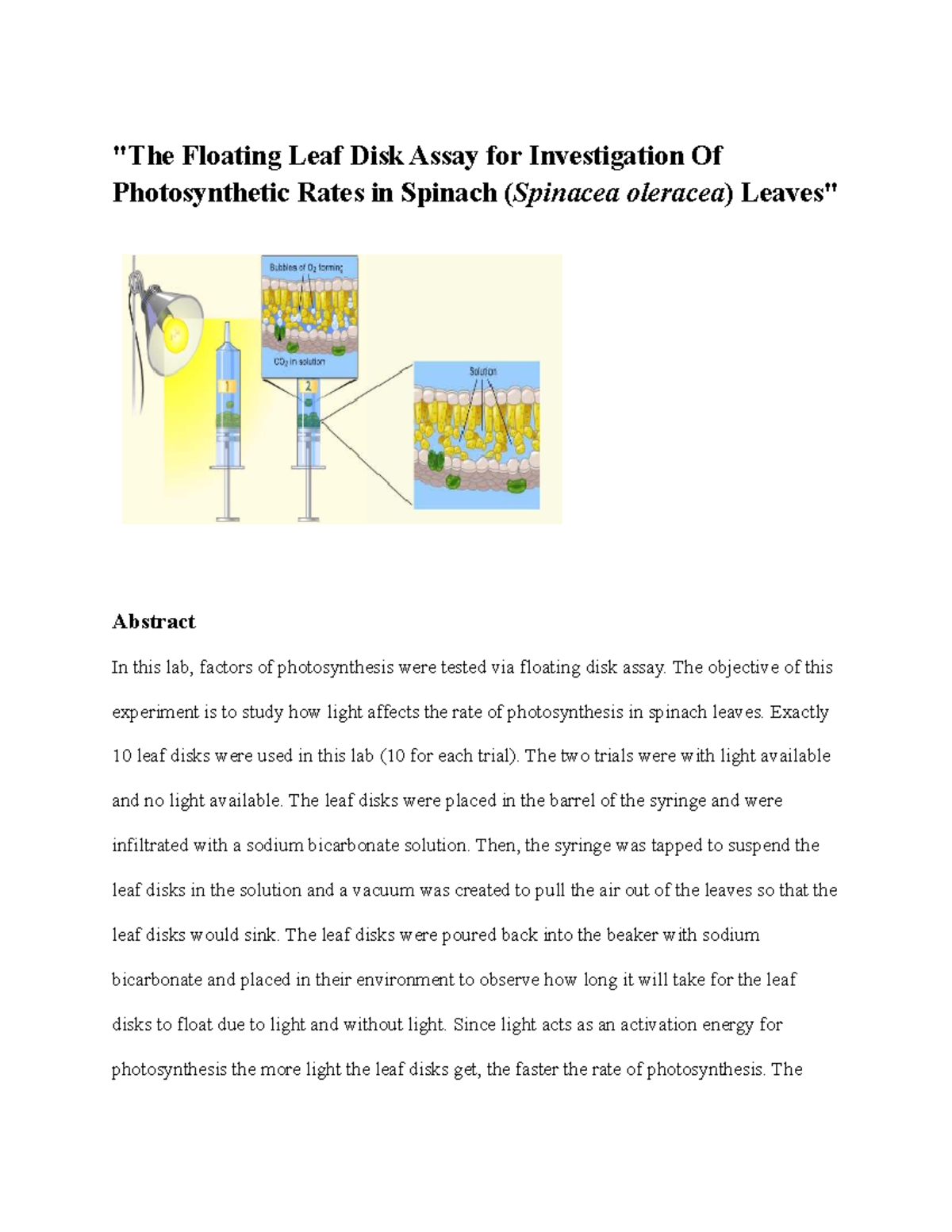 The Rate of Photosynthesis in Spinach Leaves Lab "The Floating Leaf