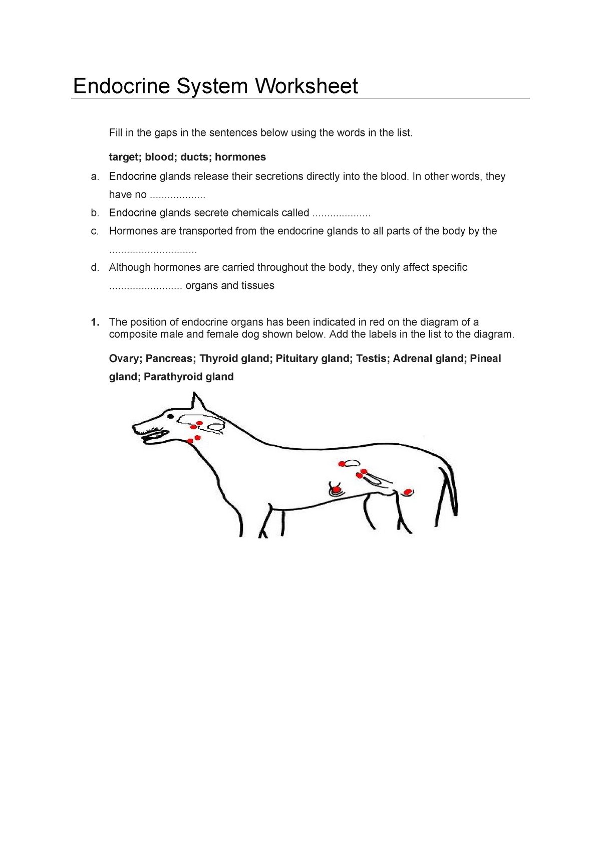 03 Endocrine System Worksheet Endocrine System Worksheet Fill In The Gaps In The Sentences 