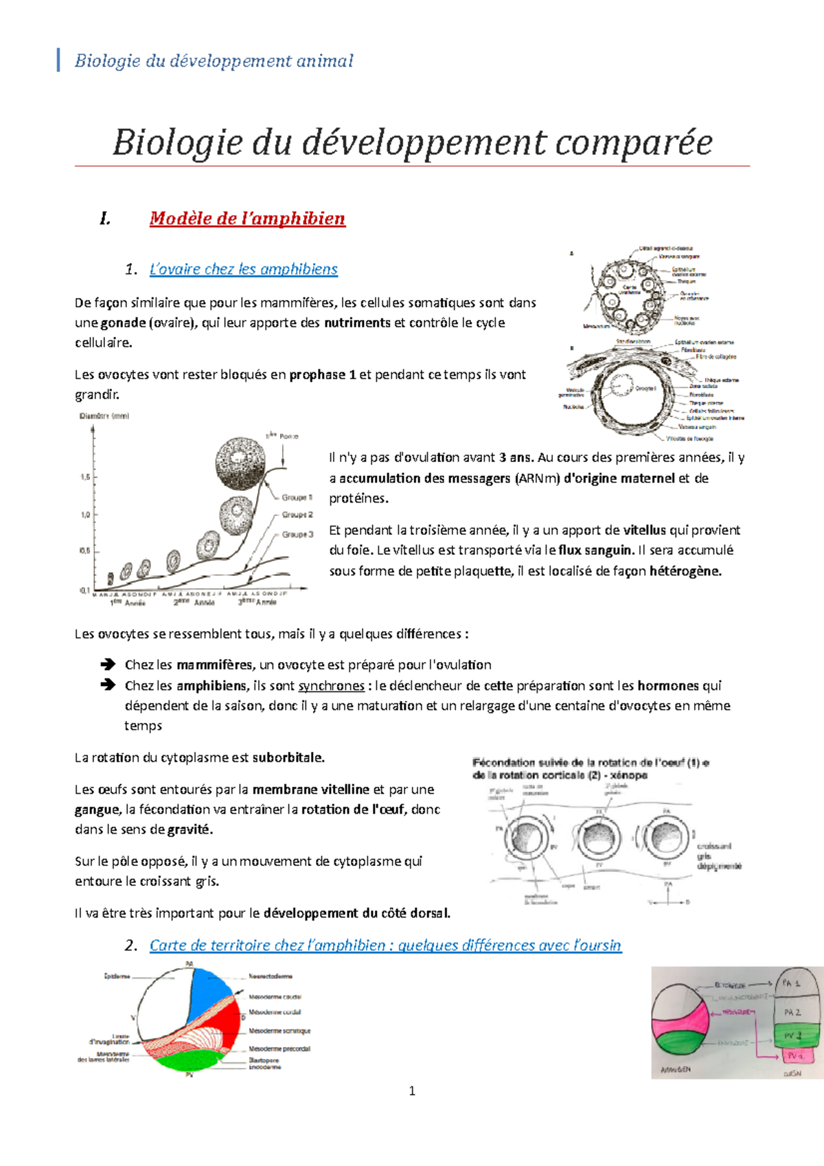 Upec Biologie Du Développement Animal – YTXPJ