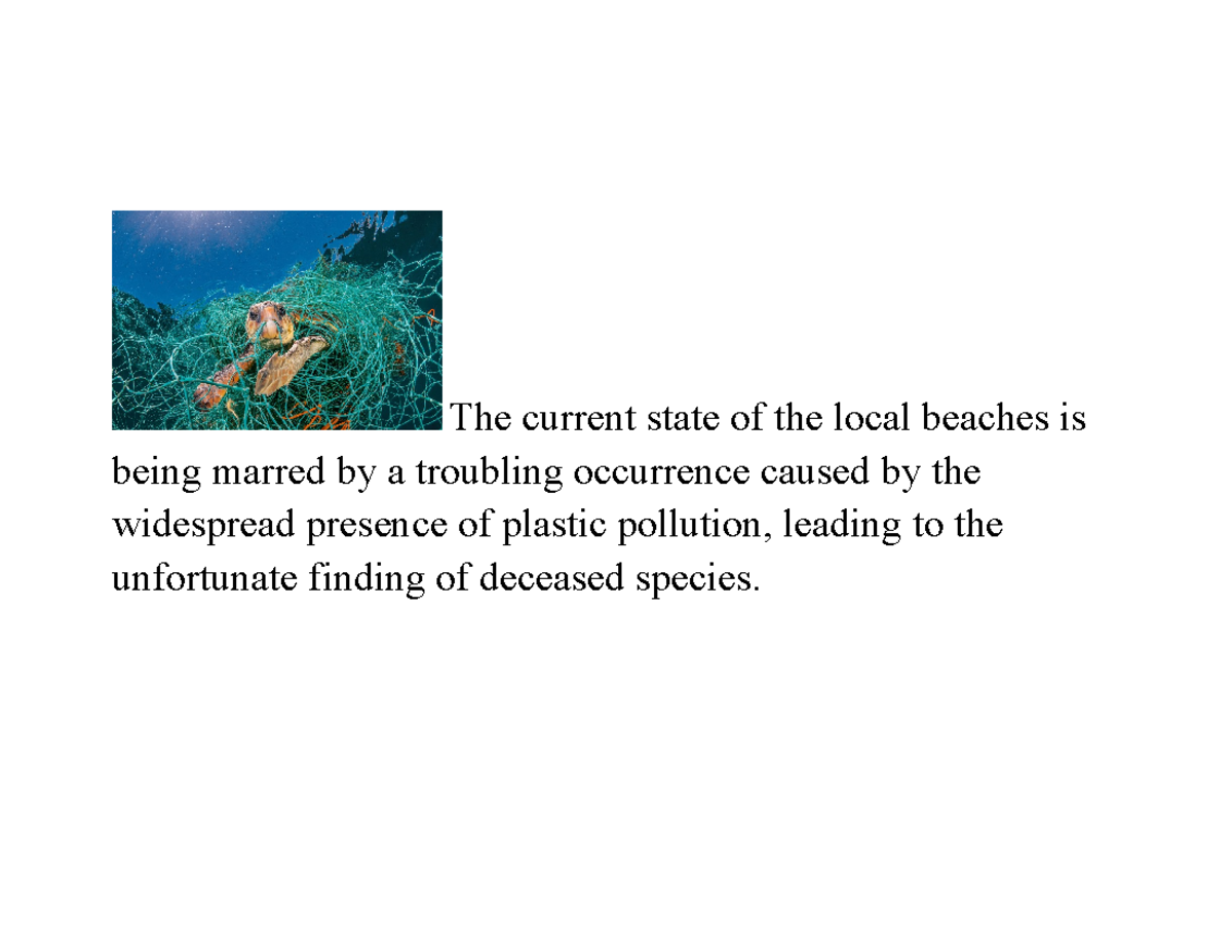 Restpamphlet 1 - The current state of the local beaches is being marred ...