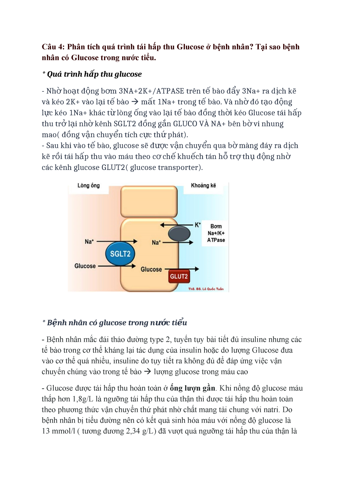 Câu 4 - Fbccb - Câu 4: Phân Tích Quá Trình Tái Hấp Thu Glucose ở Bệnh ...