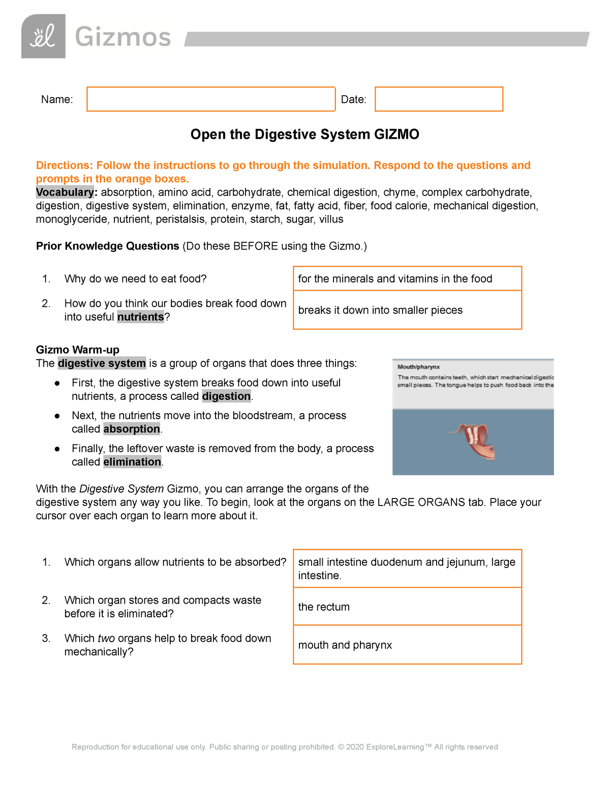 Digestive System Gizmo - Name: Date: Open the Digestive System GIZMO ...