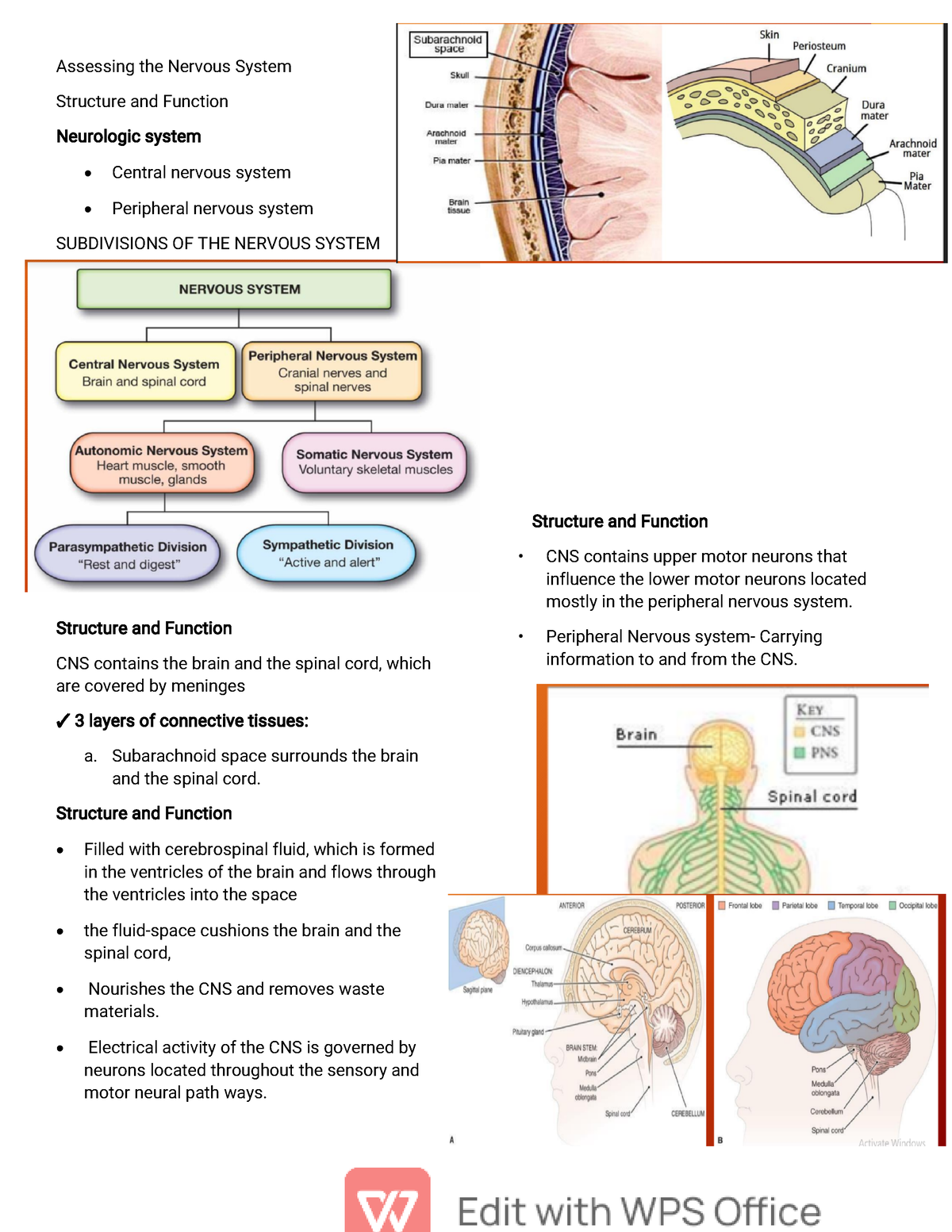 Nervous System And Musculoskeletal - Assessing The Nervous System ...