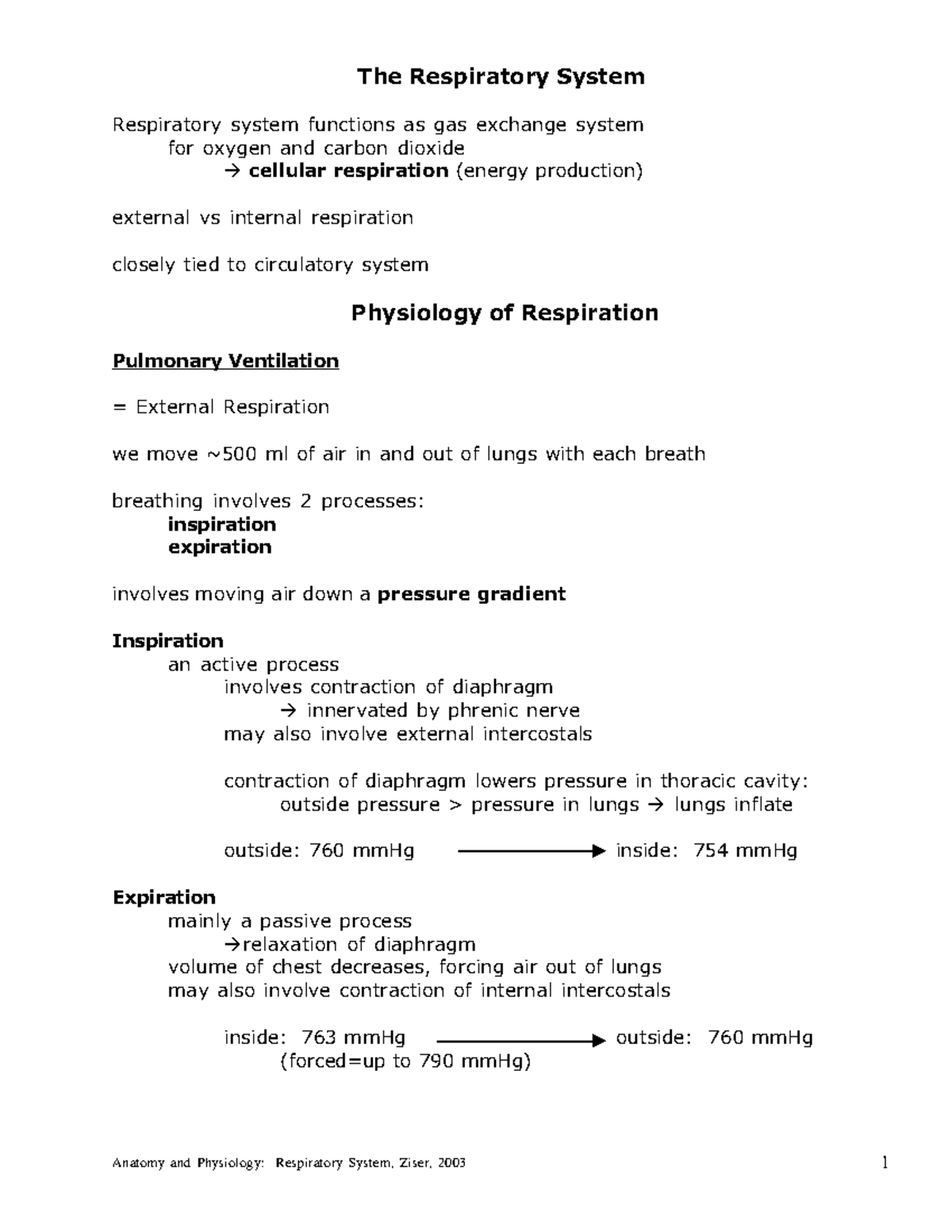 Respiratory Physiology - The Respiratory System Respiratory system ...