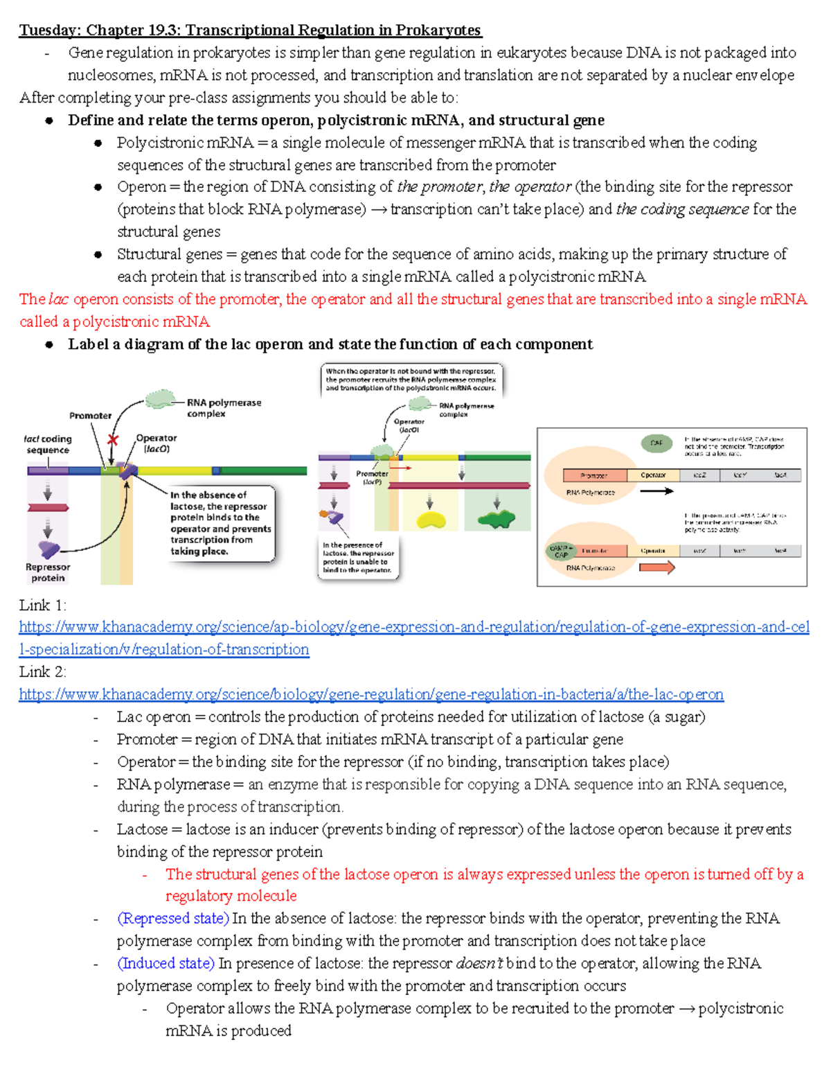 LS7A Week 7 Prokaryotic and Eukaryotic Gene Expression Lecture Notes ...