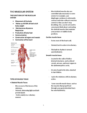 Transes- Module 4 Muscular Tissue - MODULE 4: MUSCULAR TISSUE ...