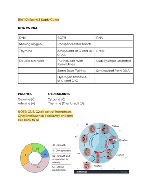 Biology Intro Notes - Professor Atta Ahmad's in person lecture ...