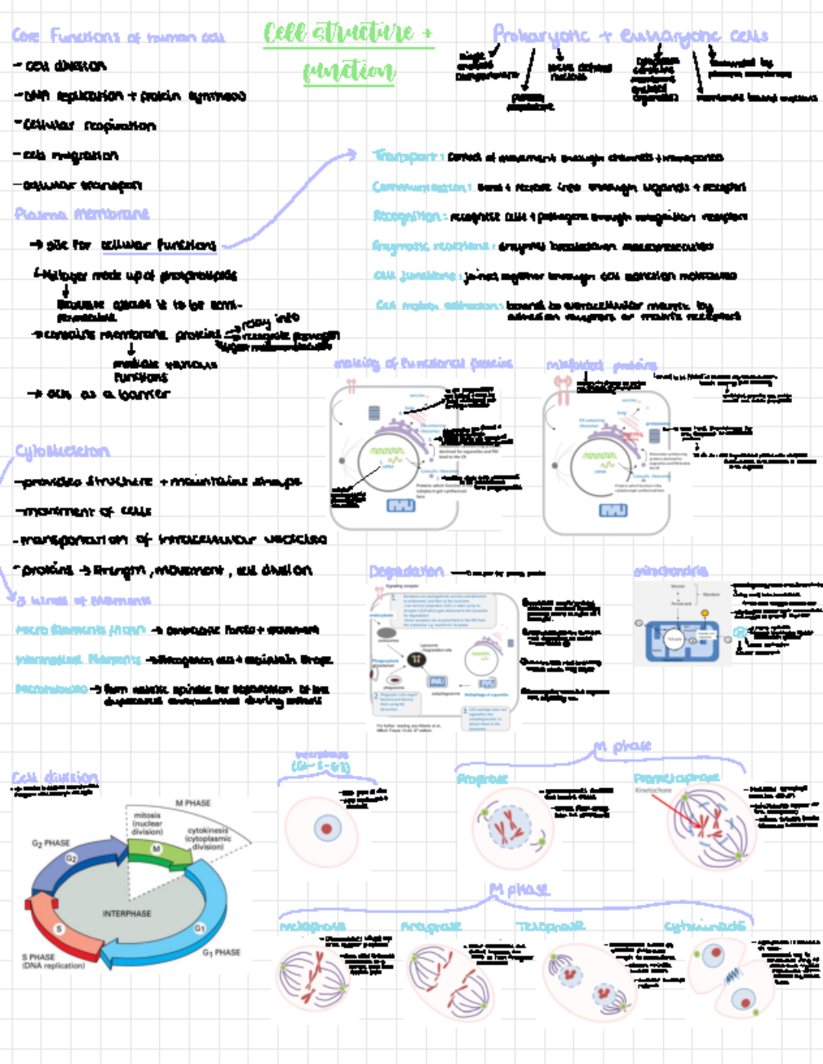 Cell structure and function - Cell structure + function Core functions ...