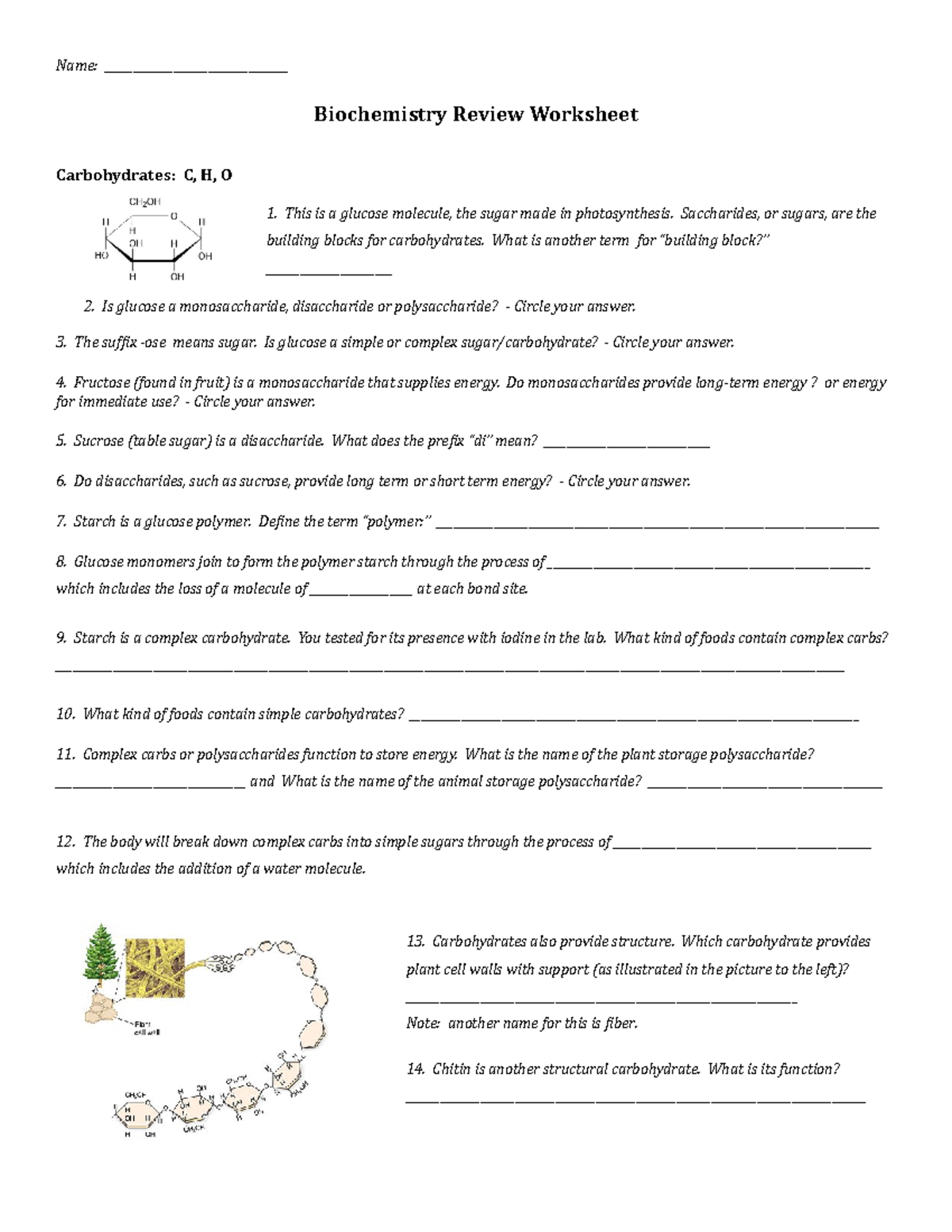 Biochemistry Review Worksheet Name Biochemistry Review 