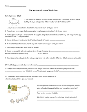 Biochemistry Review Worksheet - Name: Biochemistry Review Worksheet -  Studocu