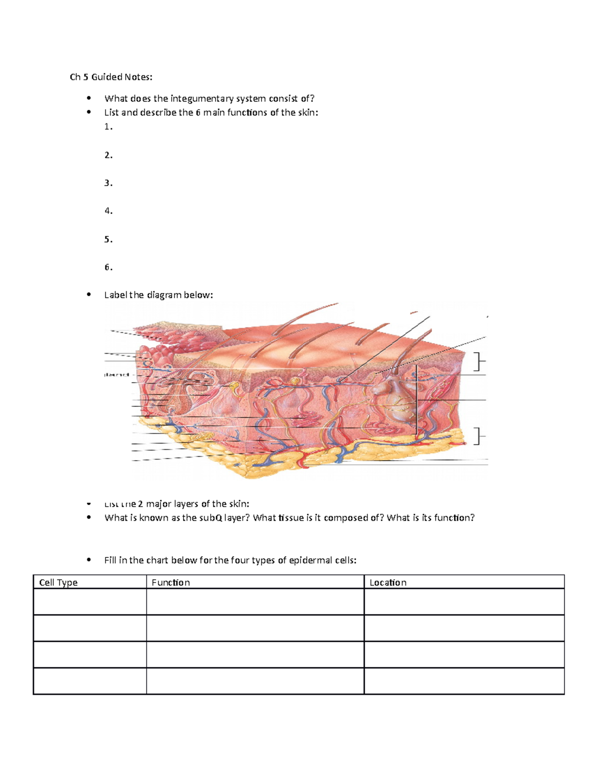 Ch 5 Guided Notes blank - Ch 5 Guided Notes: What does the ...