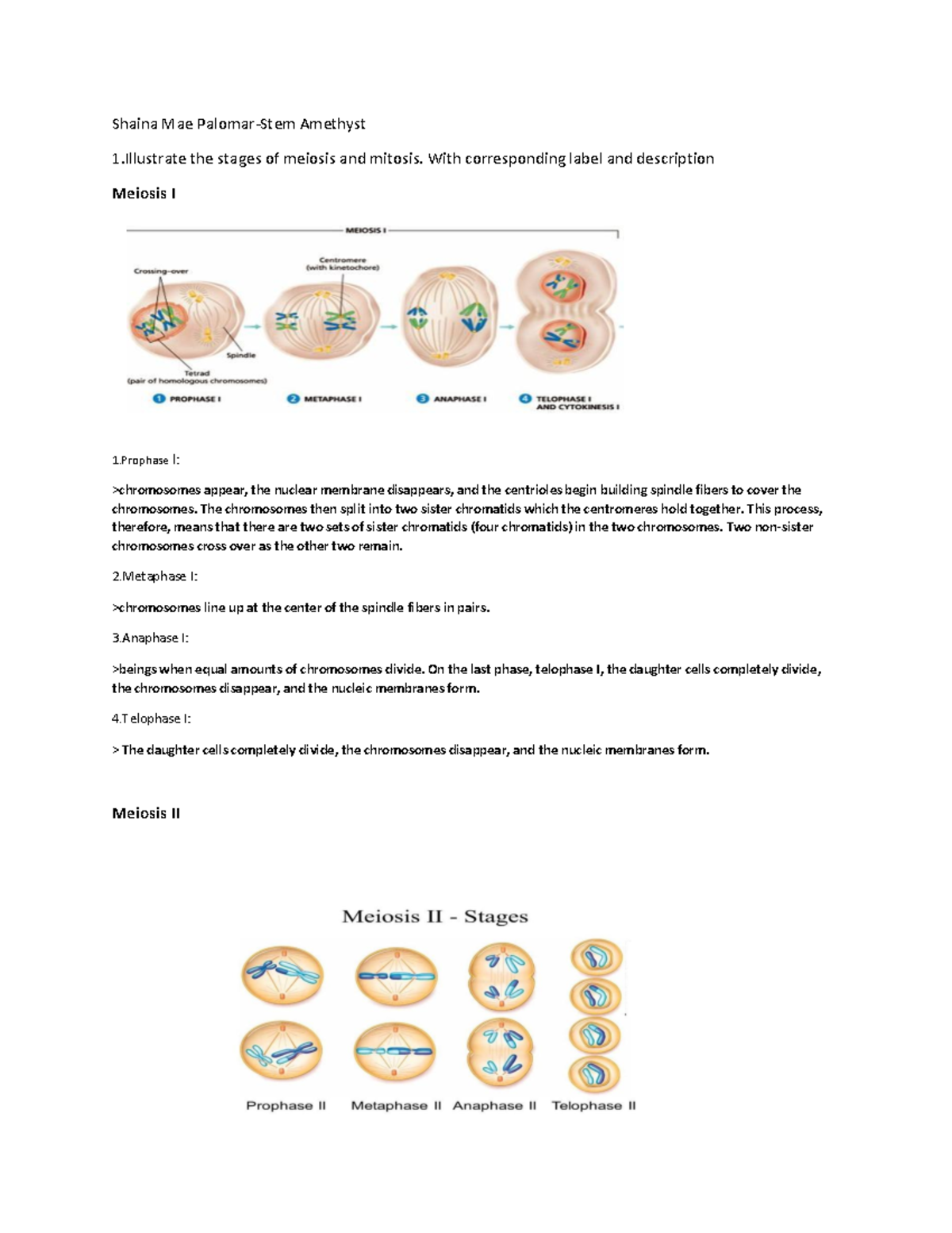 General biology 2 Stem 12 Amethyst :plant cella and animal cell ,teach ...