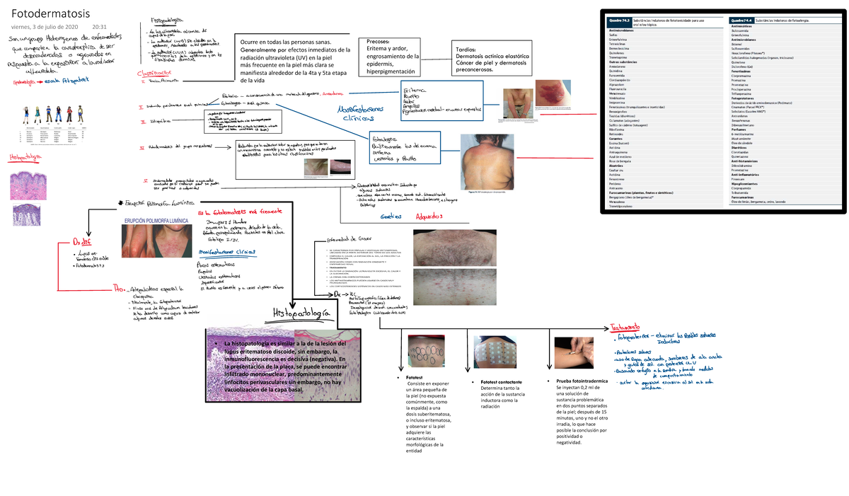 Fotodermatosis - Resumen Trabajos de medicina - Ocurre en todas las ...