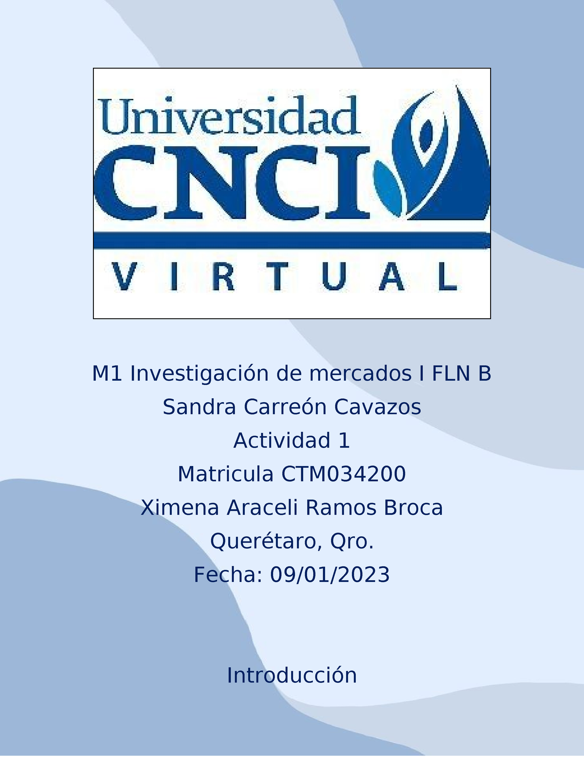 M1 Investigación De Mercados I Act - M1 Investigación De Mercados I FLN ...