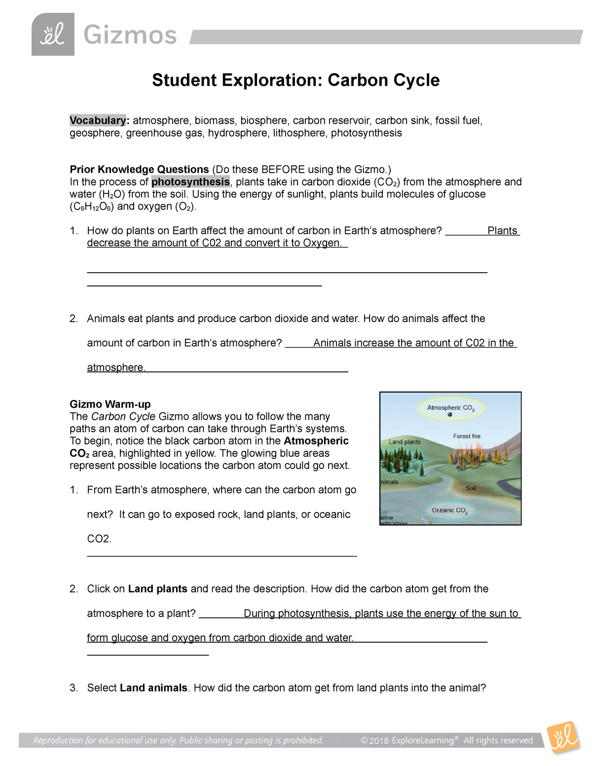 Carbon Cycle Gizmo 24 - Student Exploration: Carbon Cycle Intended For Carbon Cycle Worksheet Answers