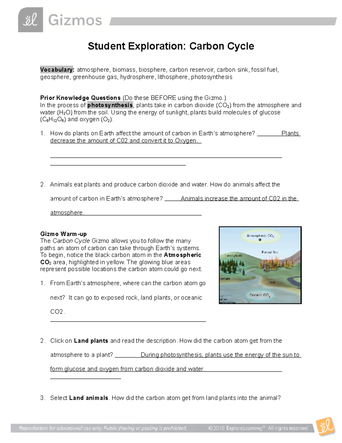 Carbon Cycle Gizmo 22 - Student Exploration: Carbon Cycle Throughout Carbon Cycle Worksheet Answers