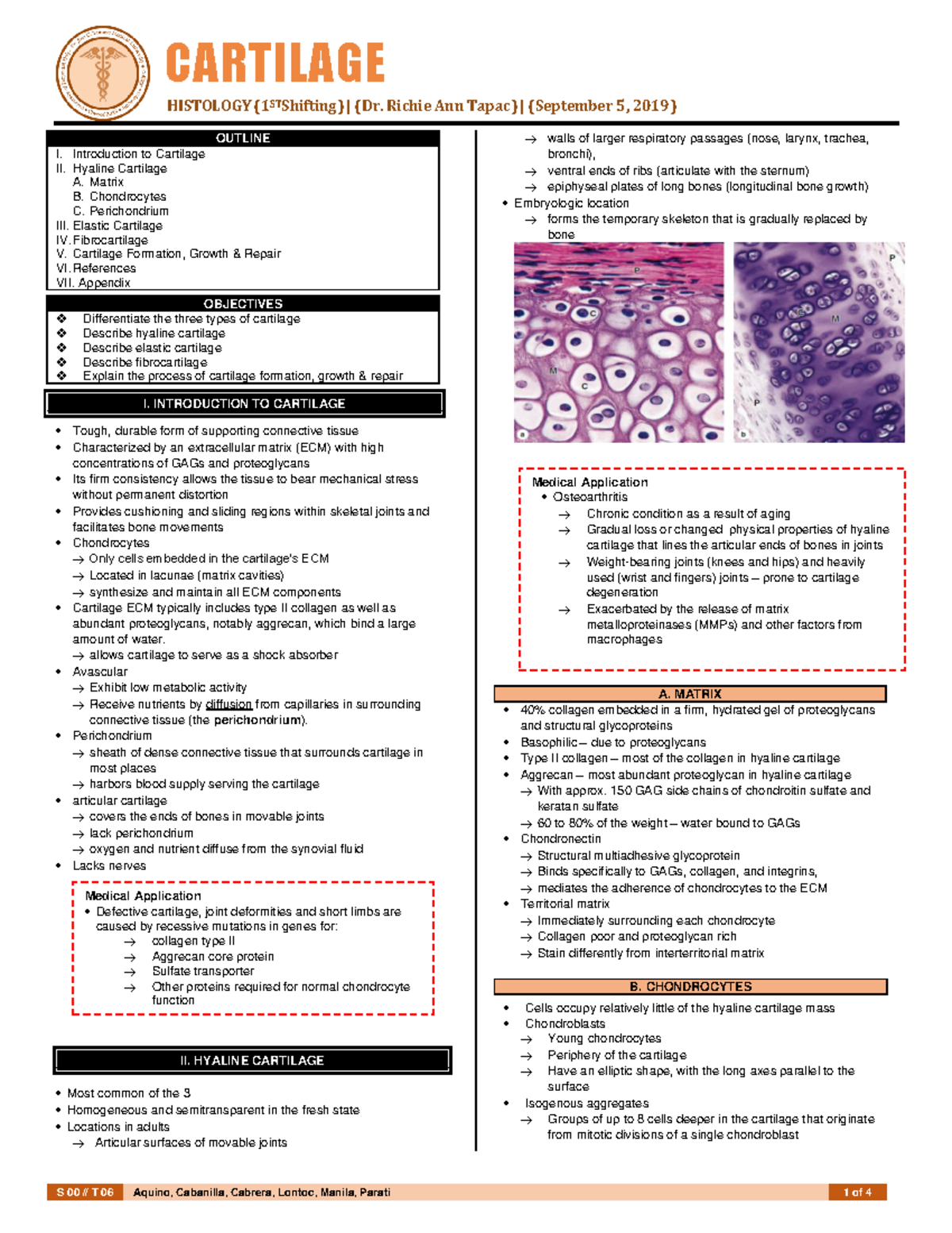 Histology of the Cartilage - S 00 // T 06 Aquino, Cabanilla, Cabrera ...