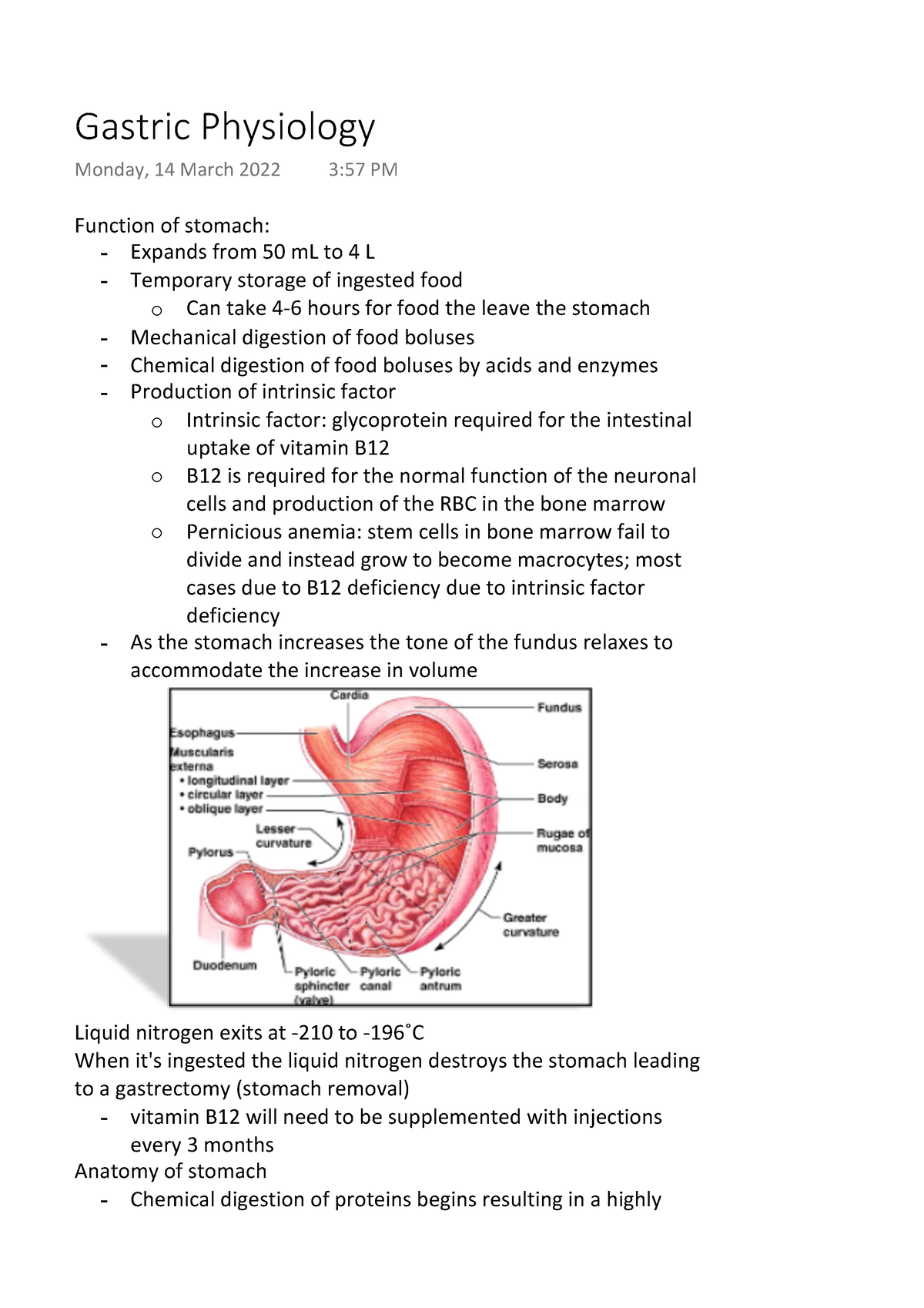 Gastric Physiology - Biomedical Science - Function Of Stomach ...