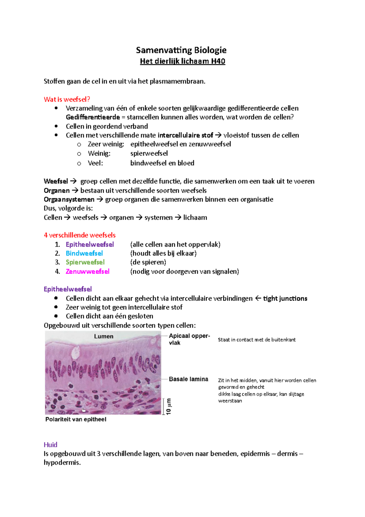 Samenvatting Biologie H40 Campbell BDA 1 - Samenvatting Biologie Het ...