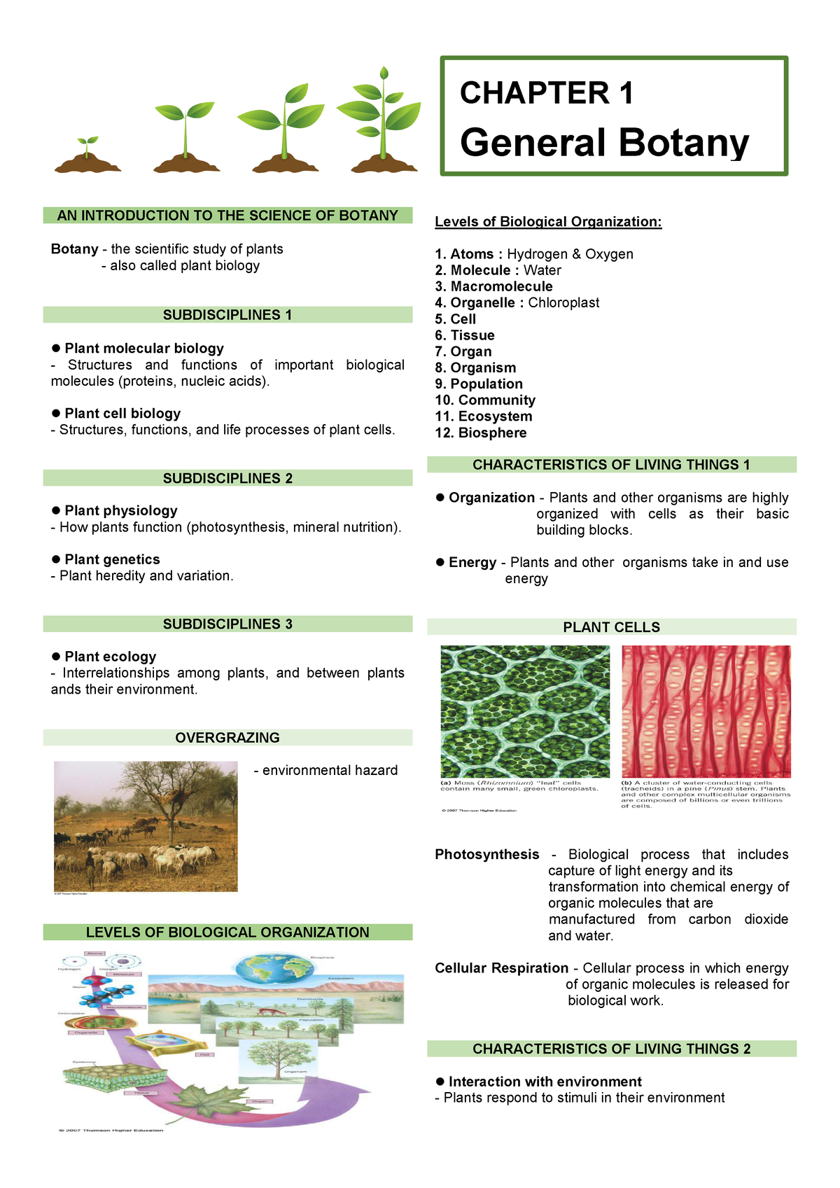 Botany - Introduction - CHAPTER 1 CHAPTER 1 General Botany AN ...