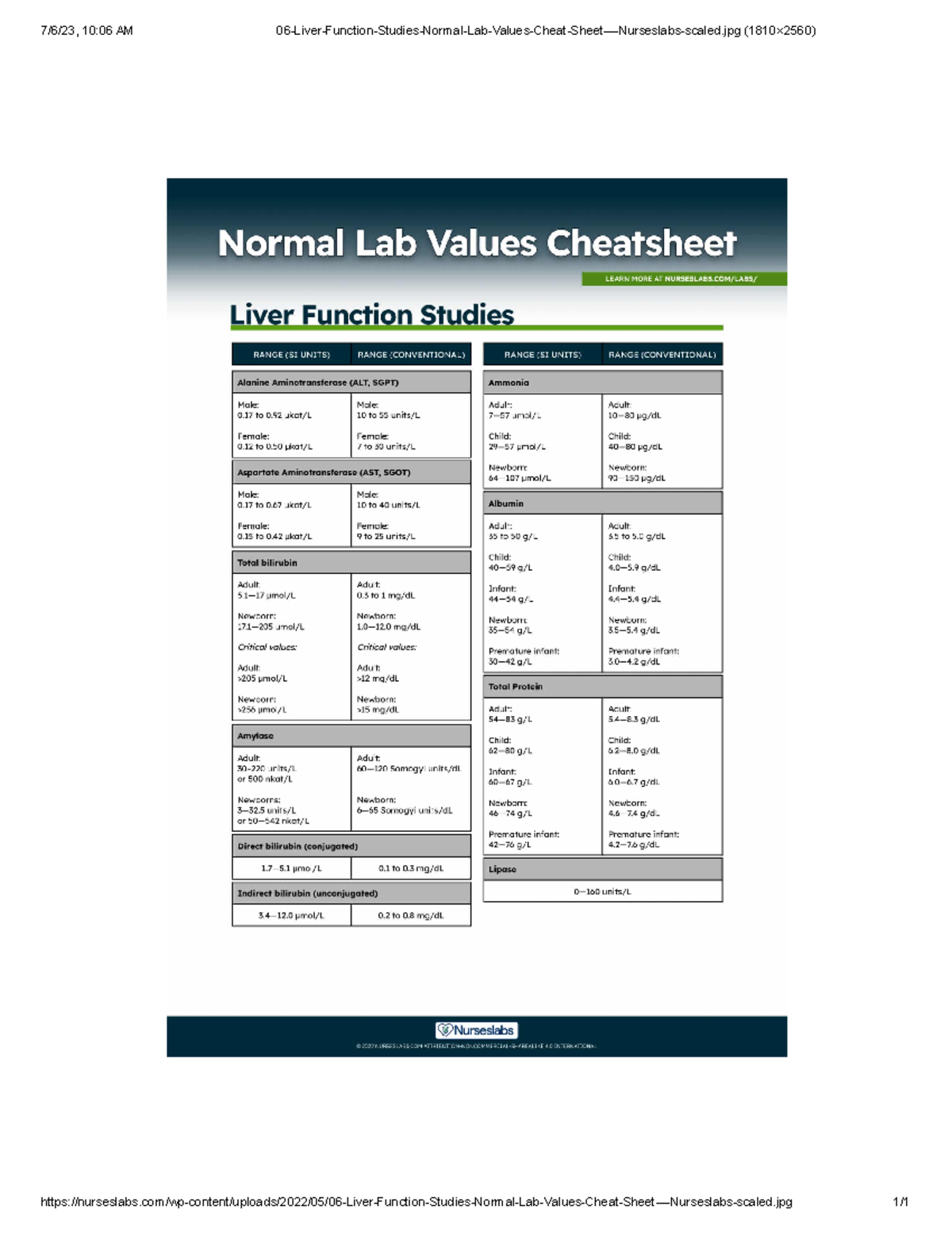 06 Liver Function Studies Normal Lab Values - Pscy 241 - 7/6/23, 10:06 ...
