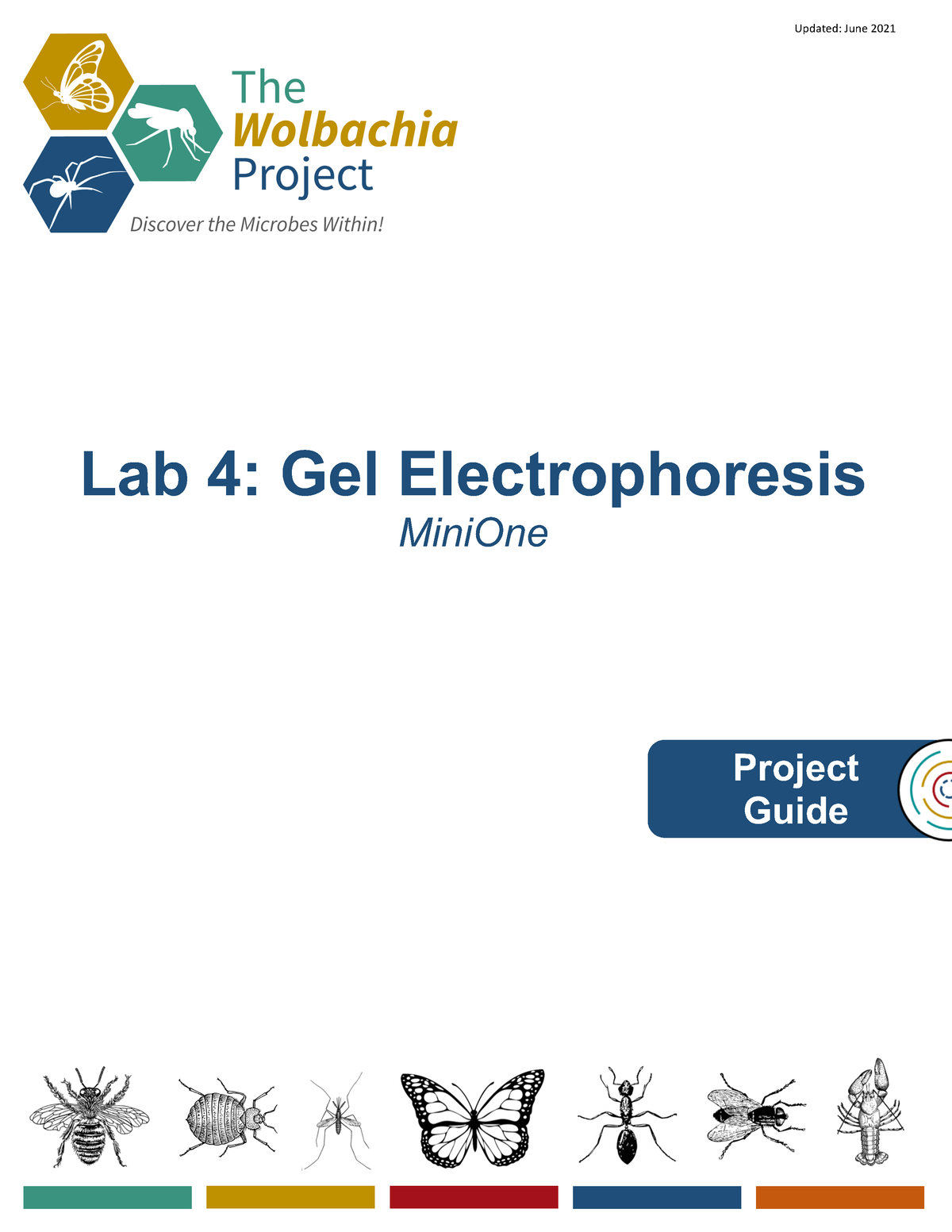 Lab Electrophoresis Mini One June Ive Lab Gel