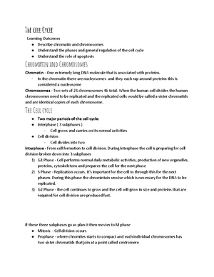 Chapter+21+-+The+Respiratory+System-1 - Overview of the Respiratory ...