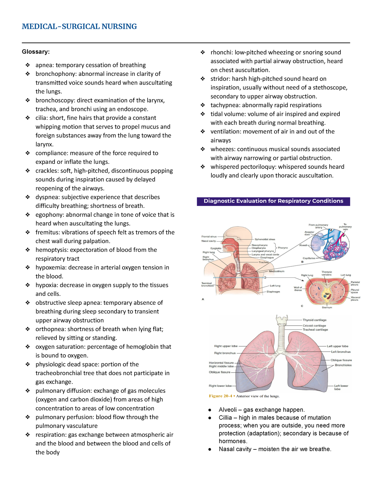 Diagnostic-Evaluation-for-Respiratory-Conditions.docx - MEDICAL ...