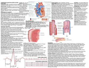 BIO 240 EXAM #1 Study Guide - BIO 240 EXAM #1 STUDY GUIDE/OBJECTIVES ...