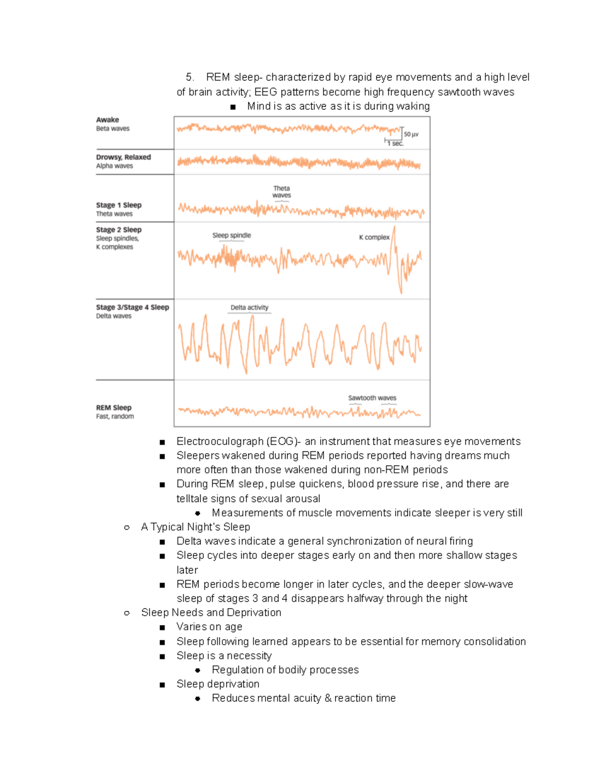 PSYCH 101 Notes - REM Sleep- Characterized By Rapid Eye Movements And A ...