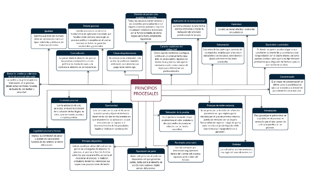 MAPA Conceptual Principios Procesales - Derecho laboral 1 - UCENM - Studocu