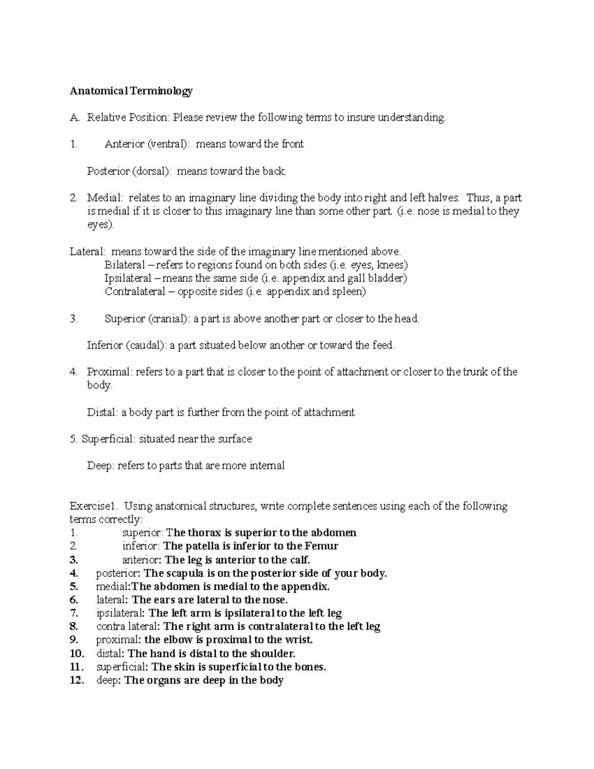 Anatomical Terminology - Relative Position: Please review the following ...