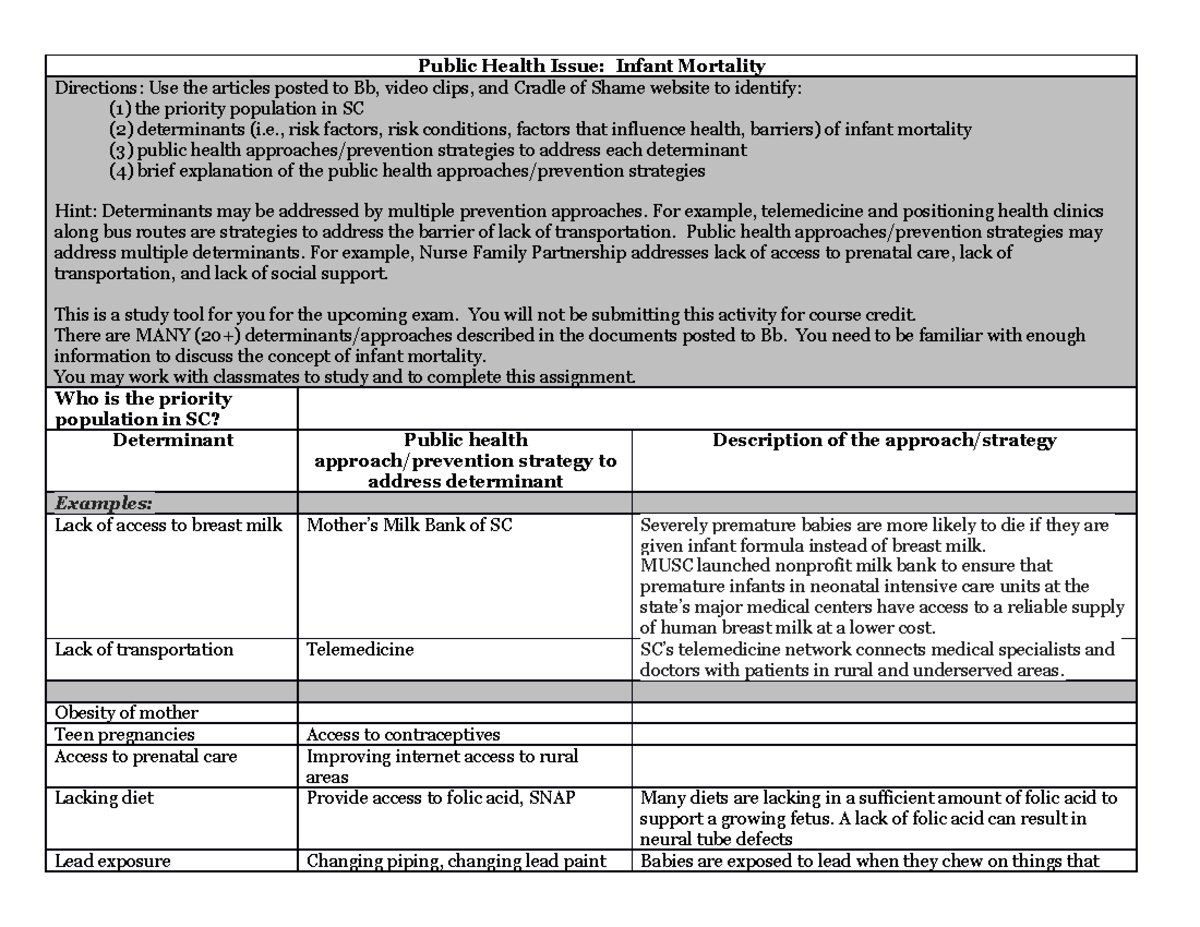 Infant Mortality Activity(1) - Public Health Issue: Infant Mortality ...