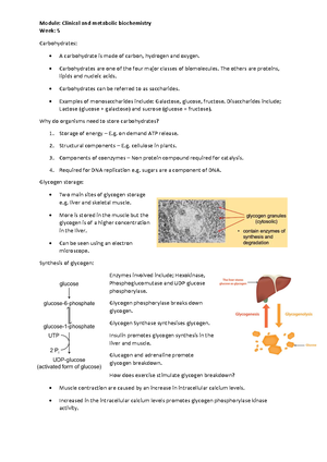 Biochemistry Summary Sheets by Chapter - BIOL 040 - Studocu